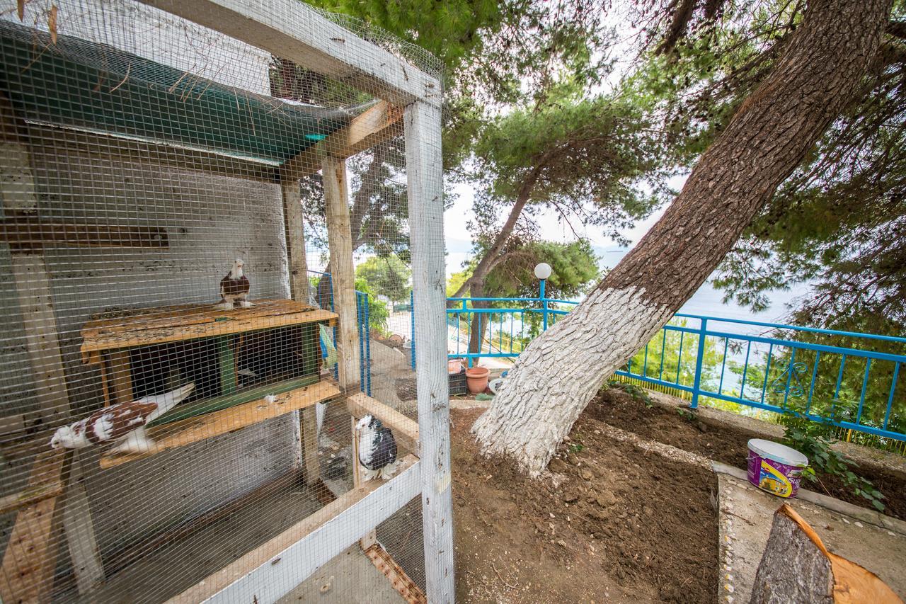 Isi Rooms Vlorë Εξωτερικό φωτογραφία